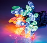 GUIRLANDE TULIPE VINTAGE 40 LED dans le catalogue Gifi