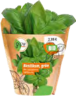 Bio-Kräuter bei OBI im Vechta Prospekt für 2,99 €