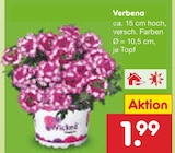 Verbena  im aktuellen Netto Marken-Discount Prospekt für 1,99 €