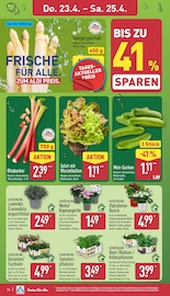 Aktueller ALDI Nord Prospekt mit Tomatenpflanze, "Aktuelle Angebote", Seite 29