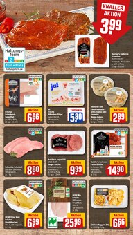 Grillfleisch im aktuellen REWE Prospekt (Offenbach (Main)) Grillfleisch im REWE Prospekt "Dein Markt" mit 28 Seiten (Offenbach (Main))