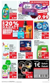 Katzenstreu im Kaufland Prospekt in Soest Aktueller Kaufland Prospekt mit Katzenstreu, "KNÜLLER", Seite 49