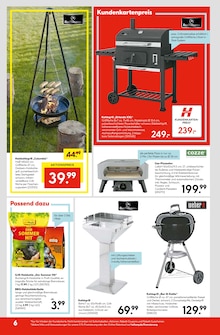 Holzkohlegrill im Hellweg Prospekt "Die Profi-Baumärkte" mit 24 Seiten (Hamm)
