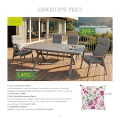 Aktueller Pflanzen Kölle Prospekt mit Dekoration, "GARTENMÖBEL 2026", Seite 19