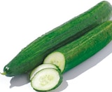 Gurke für 0,99 € bei Netto mit dem Scottie im Angebot Gurke im aktuellen Netto mit dem Scottie Prospekt