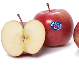 Tafeläpfel Fuji von KIKU im aktuellen Netto mit dem Scottie Prospekt