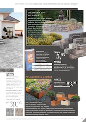 Aktueller RHG Baucentrum Prospekt mit Pflanzen, "Der Katalog für Gartengestaltung, Gartenpflege und Gartenfreizeit.", Seite 53