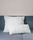 Kopfkissen in Lammflor-Optik ca. 40 x 80 cm im Netto mit dem Scottie Prospekt Kopfkissen in Lammflor-Optik ca. 40 x 80 cm von HJEMJA im aktuellen Netto mit dem Scottie Prospekt für 9,99 €