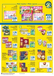 Tee im diska Prospekt in Hof Aktueller diska Prospekt mit Tee, "alles an deinem ort.", Seite 2