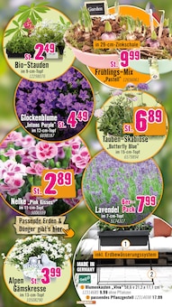 Blumentopf im Hornbach Prospekt "Ran ans PROJEKT. Es ist schon Pflanzzeit." mit 36 Seiten (Magdeburg)