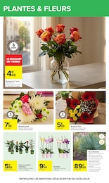 Prix et réduction Plante D'intérieur dans le prospectus Carrefour en cours Offre Plante D'intérieur dans le catalogue Carrefour du moment à la page 73