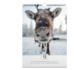 Wandkalender A4 Angebote bei Kaufland Rastatt für 11,49 €