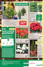 Aktueller BayWa Bau- und Gartenmärkte Prospekt mit Weihnachtsbaum, "Hier bin ich gern", Seite 8