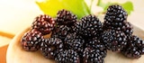 Brombeeren von  im aktuellen Netto Marken-Discount Prospekt für 2,22 €