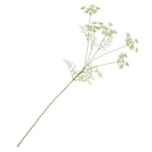 Kunstblume Strahlendolde im Angebot bei Ernstings family in Seevetal Kunstblume Strahlendolde Angebote bei Ernstings family Seevetal für 5,99 €