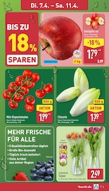 Tulpen im ALDI Nord Prospekt in Buchholz Aktueller ALDI Nord Prospekt mit Tulpen, "Aktuelle Angebote", Seite 3