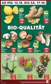 Aktueller Kaufland Prospekt mit Garten, "Hier bin ich richtig", Seite 22