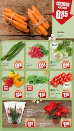 Mixer im REWE Prospekt "Dein Markt" auf Seite 9