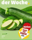 Zucchini im Angebot bei Penny in Bielefeld Zucchini Angebote von Marktliebe bei Penny Bielefeld