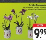 Aktuelles Orchidee Phalaenopsis Angebot bei E center in Nürnberg ab 9,99 €