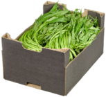 Wasserspinat von  im aktuellen METRO Prospekt für 8,66 €