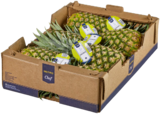Ananas im METRO Prospekt Ananas von METRO Chef im aktuellen METRO Prospekt für 2,99 €