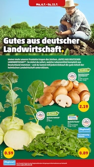 Rucola im aktuellen Penny Prospekt (Hamburg) Rucola im Penny Prospekt "Wer gĂĽnstig will, muss Penny." mit 44 Seiten (Hamburg)