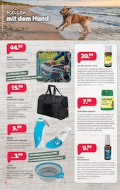 Aktueller Kiebitzmarkt Prospekt mit Rucksack, "Der Sommer ist da!", Seite 6