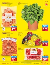 Ähnliche Hortensie Angebote im Prospekt "Aktuelle Angebote" von Netto Marken-Discount in Memmingen Ähnliche Angebote wie Hortensie im Prospekt "Aktuelle Angebote" auf Seite 5 von Netto Marken-Discount in Memmingen