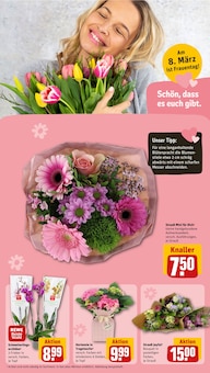 Orchidee im REWE Prospekt "Dein Markt" mit 20 Seiten (Leipzig)