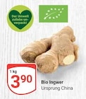 Bio Ingwer im Angebot bei GLOBUS in Leipzig Bio Ingwer Angebote bei GLOBUS Leipzig für 3,90 €