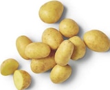 Kartoffellieblinge im Angebot bei combi in Celle Kartoffellieblinge Angebote von HofWerte bei combi Celle für 0,99 €