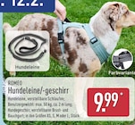Hundeleine/-geschirr von ROMEO im aktuellen ALDI Nord Prospekt