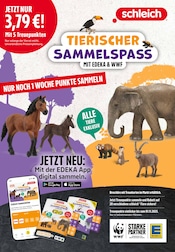 Spielzeug im E center Prospekt in Trier Aktueller E center Prospekt mit Spielzeug, "Aktuelle Angebote", Seite 44