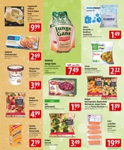 Torte im famila Nordost Prospekt in Celle Aktueller famila Nordost Prospekt mit Torte, "besser als gut!", Seite 8