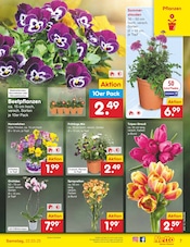 Aktueller Netto Marken-Discount Prospekt mit Pflanzen, "Aktuelle Angebote", Seite 9