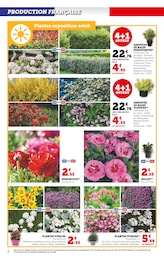 Offre Fleurs d'extérieur dans le catalogue Super U du moment à la page 2