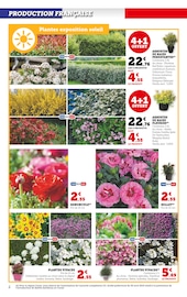 Catalogue Super U en cours à Saint-Nazaire, "Le jardin À PRIX BAS", Page 2