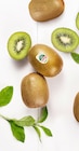 Grüne Kiwi von Zespri im aktuellen REWE Prospekt