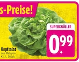 Kopfsalat bei EDEKA im Holzkirchen Prospekt für 0,99 €