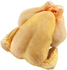 Maishähnchen von  im aktuellen REWE Prospekt für 7,90 €