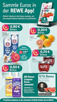Aktueller REWE Prospekt "Dein Markt" für Schelklingen Aktueller REWE Prospekt für Schelklingen mit Seiten