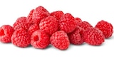 Himbeeren Angebote bei Penny Krefeld für 1,49 €