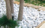 Graviers marbre concassés ou galets marbre roulés blanc carrare - Super U à Puteaux Graviers marbre concassés ou galets marbre roulés blanc carrare en promo chez Super U Puteaux à 6,99 €