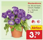 Glockenblume Angebote bei Netto Marken-Discount Fellbach für 3,79 €