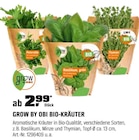 Aktuelles BIO-KRÄUTER Angebot bei OBI in Bremen ab 2,99 €