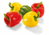 Netto Marken-Discount - Paprika-Mix Angebot im Prospekt Paprika-Mix bei Netto Marken-Discount im Prospekt "" für 1,89 €