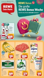 REWE Discounter Prospekt der aktuellen Woche mit 30 Seiten, gültig von 13.10.2025 bis 18.10.2025, in Hollern-Twielenfleth und Umgebung Aktueller REWE Discounter Prospekt in Hollern-Twielenfleth und Umgebung, "Dein Markt" mit 30 Seiten, 13.10.2025 - 18.10.2025