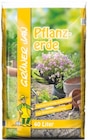 Pflanzerde Angebote von Grüner Jan bei Thomas Philipps Fulda für 3,66 €