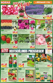 Teppichboden im Norma Prospekt "Mehr fürs Geld" mit 20 Seiten (Rostock)